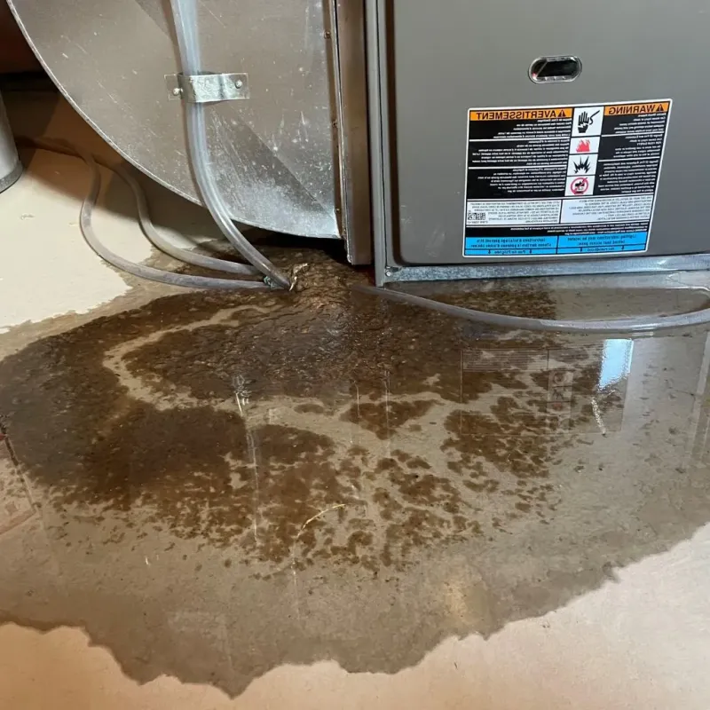 Pipe Burst and Leak Restoration in Ardmore, OK